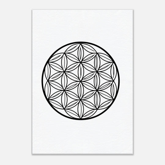 d2886339-c48f-4a51-8243-c796729fd447