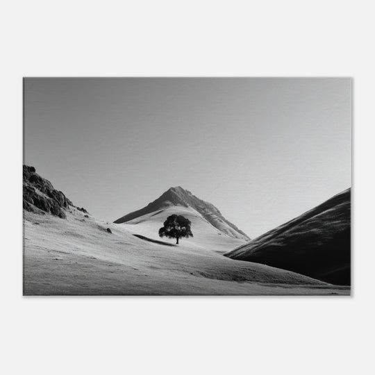 d2ba5f4e-a3af-44e0-998b-924fef3d4486