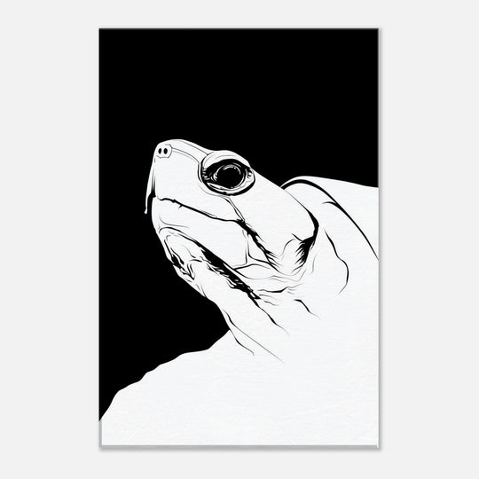 d2d2d49b-58b8-4ece-9985-a20cdc7cec8e