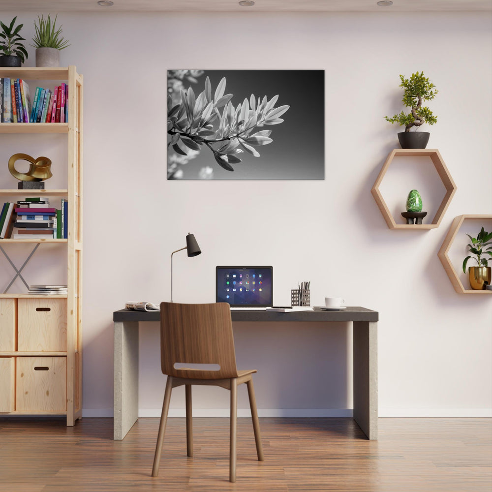 d363b931-eb4c-4eb6-8dda-4de80c9cfc99