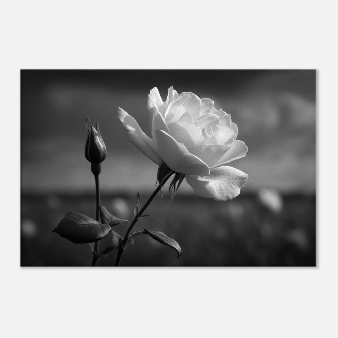 d3b63f80-5013-42fc-8a63-84aad65f2aeb