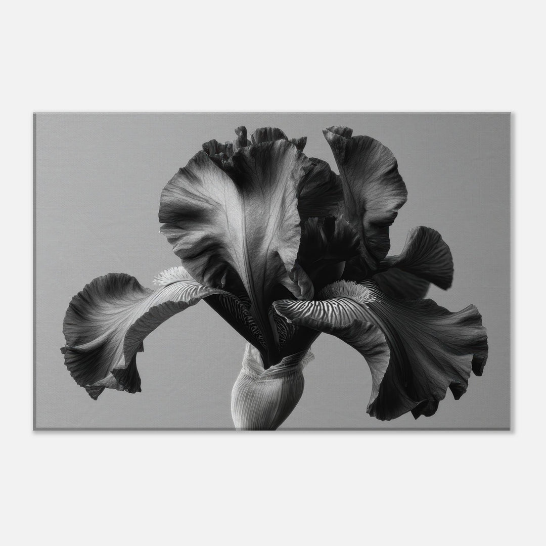 d3efcf1d-9c0a-4601-ad89-5261bda6848b