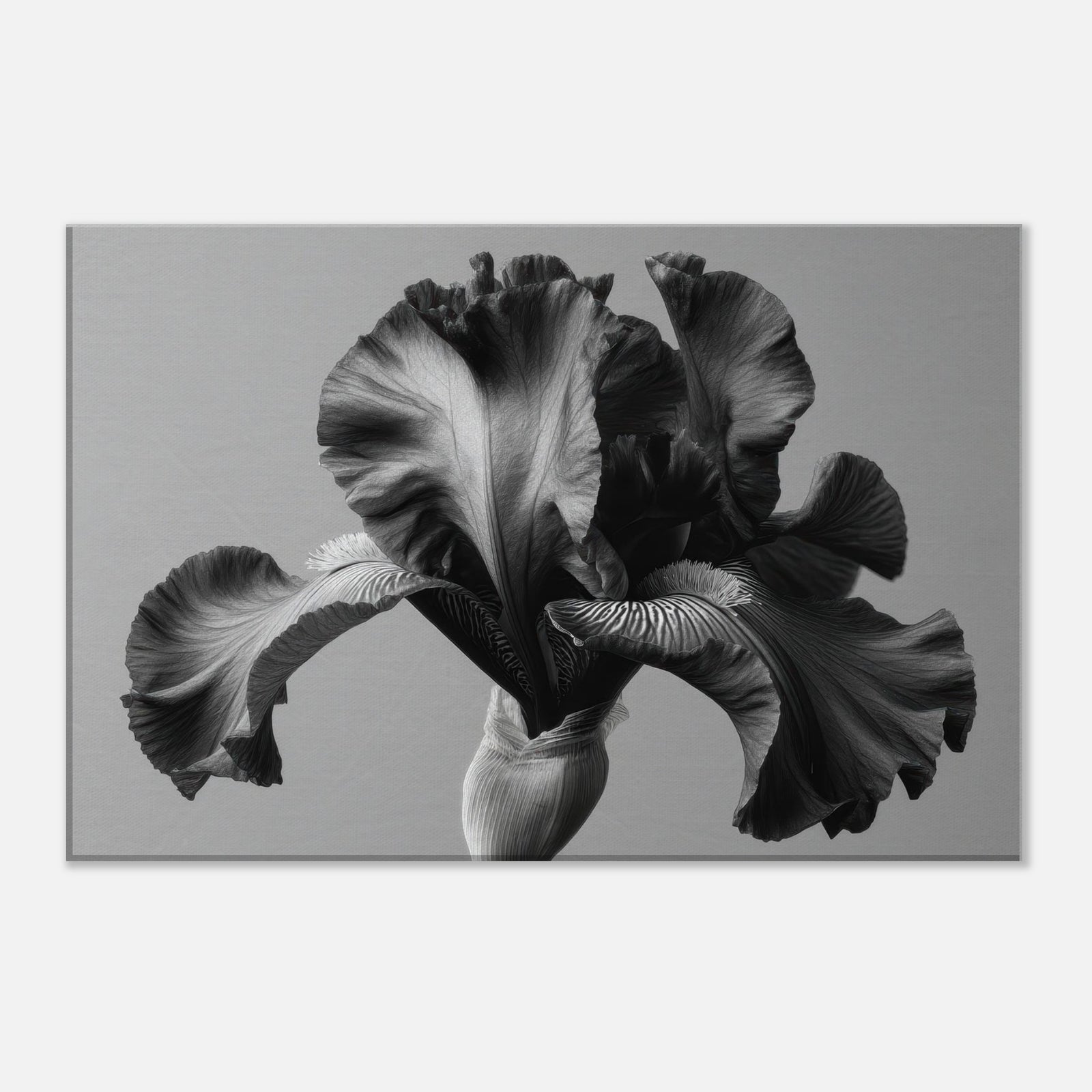 d3efcf1d-9c0a-4601-ad89-5261bda6848b