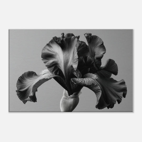 d3efcf1d-9c0a-4601-ad89-5261bda6848b