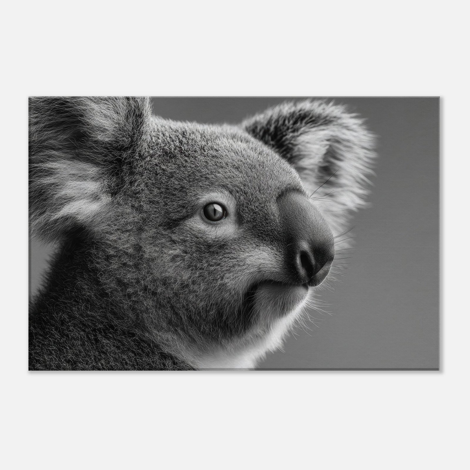 d3fc29ac-403d-41f9-87eb-524e173118b0