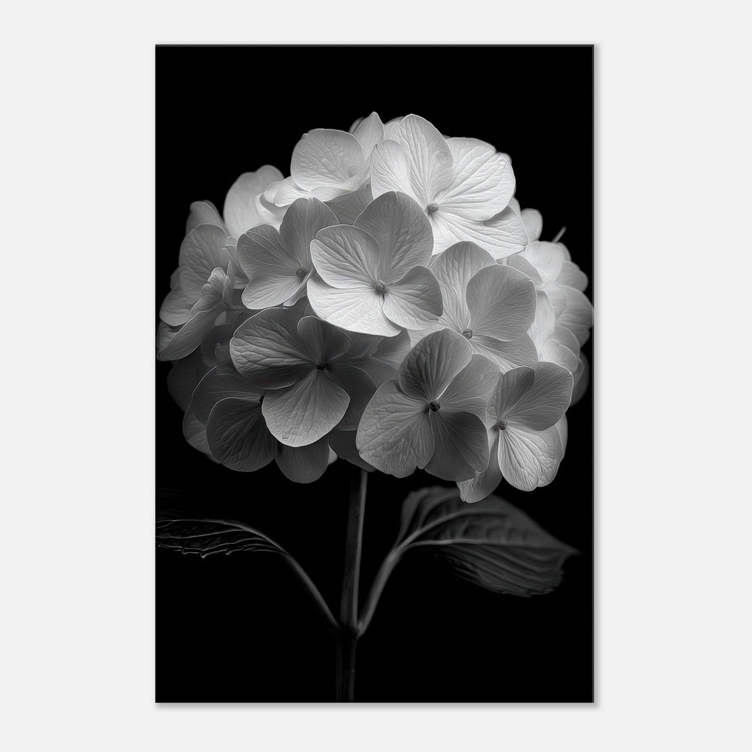 d4256a61-85f0-4033-bbcd-c2704d019419