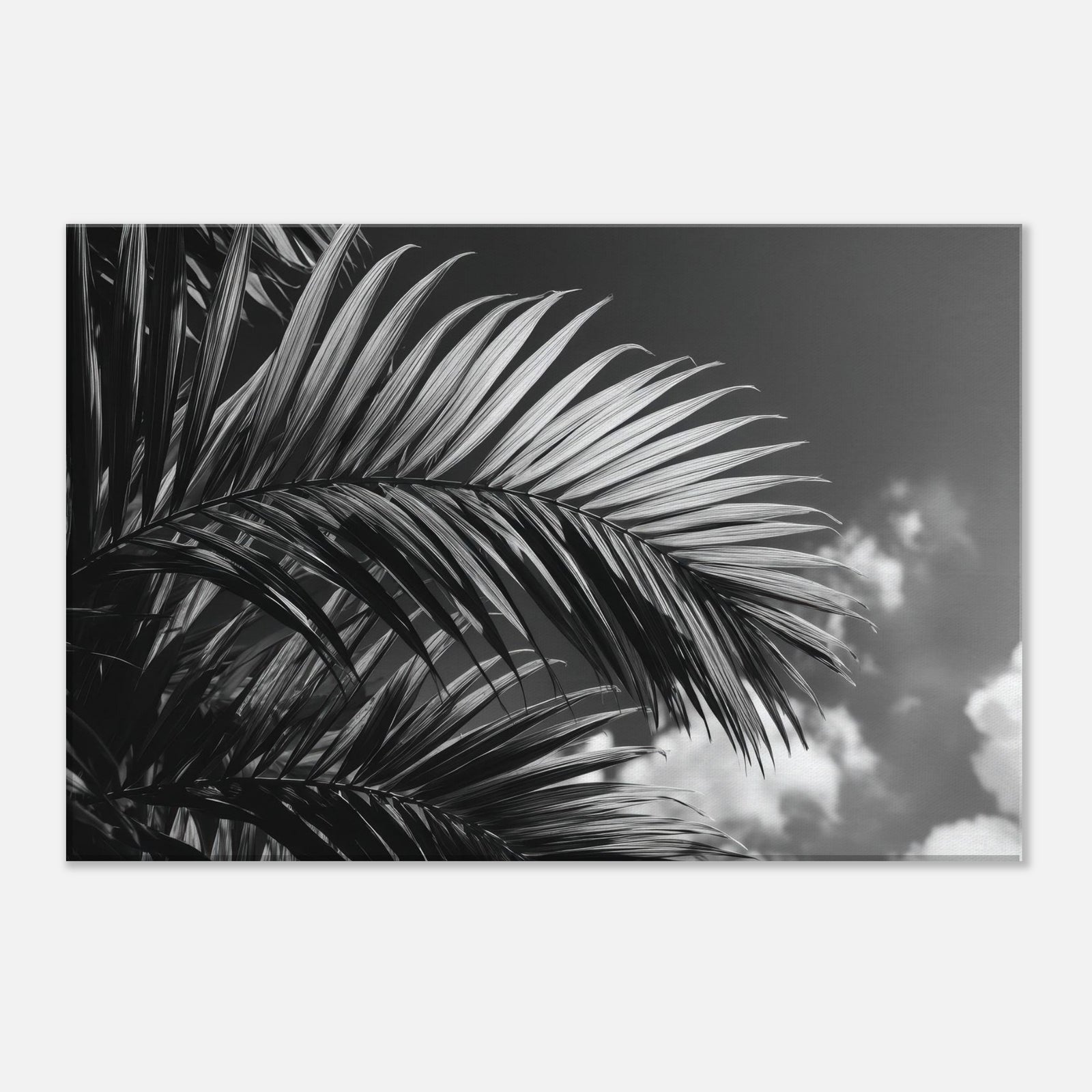 d4851069-495c-4558-983c-dceb547ee60e