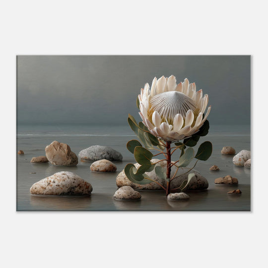 d4cbf9ab-7b8f-4ed4-acd2-57ac050d1ffc