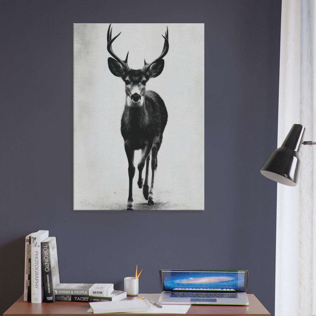 d54c4e7c-c352-4e97-b863-77bd67bbc567