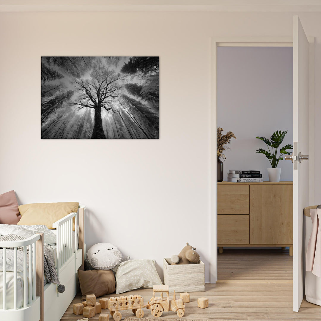 d5de2ef9-a20a-4848-b722-9266506313ed