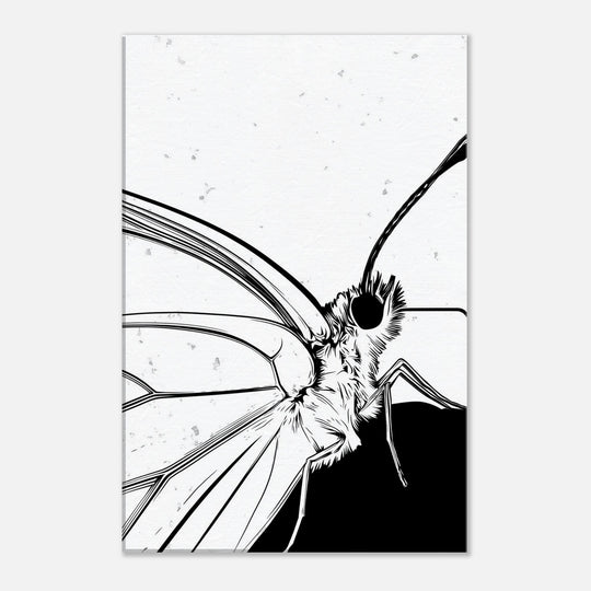 d638c715-9ecc-4e34-a36b-d05a9db8cf8b