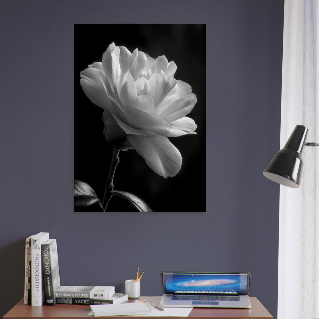 d6b097cc-1138-43cb-8528-7944a5e1ac19