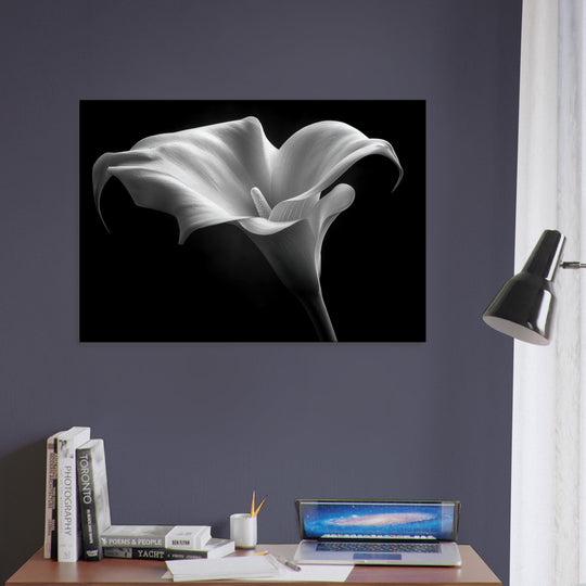 d71a43fe-cda5-4a0e-a132-32adae6c5635