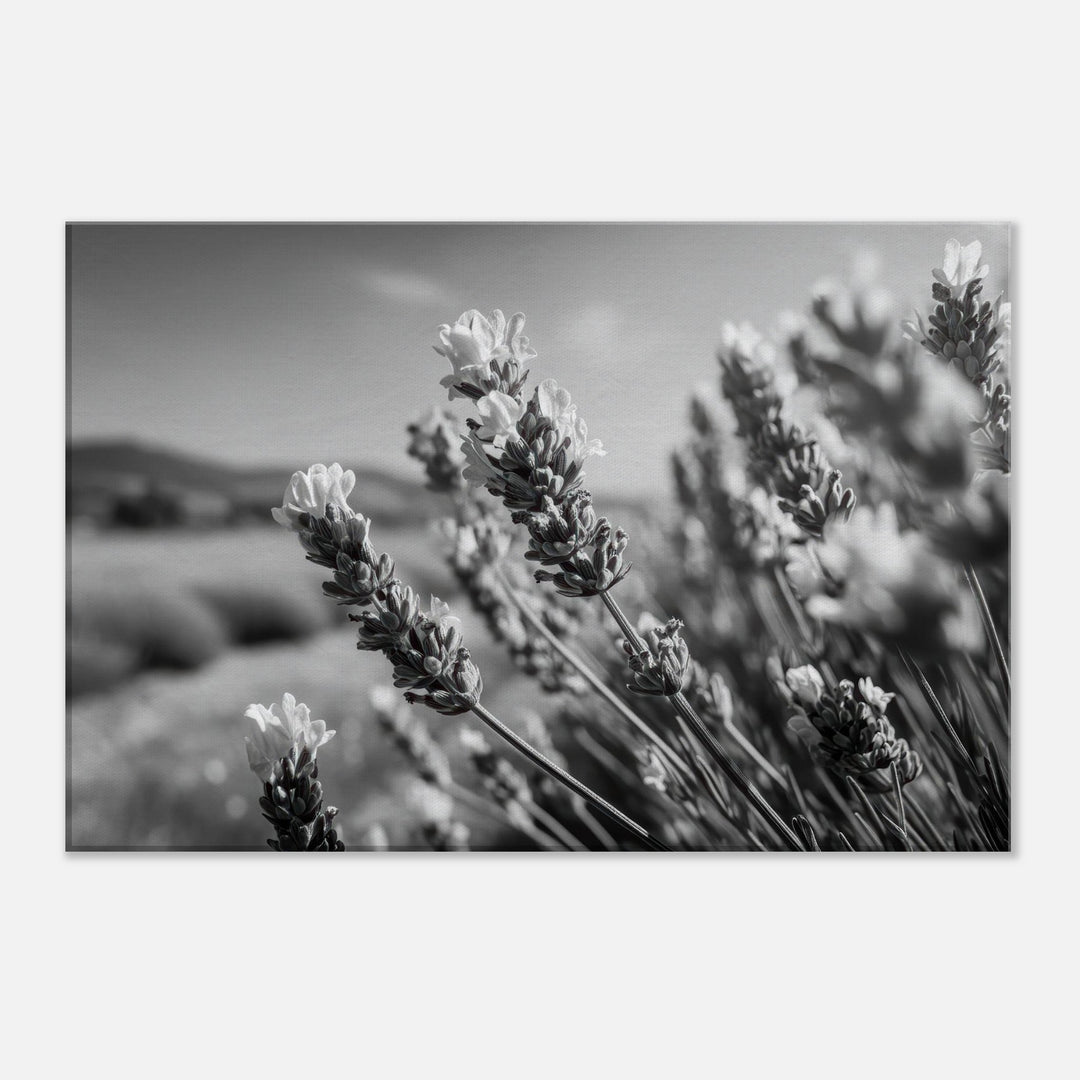 d78b6519-6a5b-4f18-836e-3e00bc61cafb