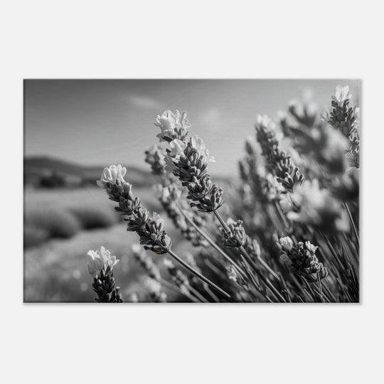 d78b6519-6a5b-4f18-836e-3e00bc61cafb