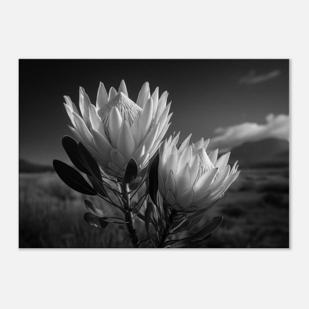 d9b68169-dafe-4564-916d-bcc93ad458ec