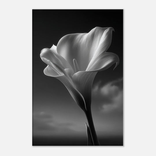 d9bfa810-ed7a-4cdb-b139-ebc6add91717