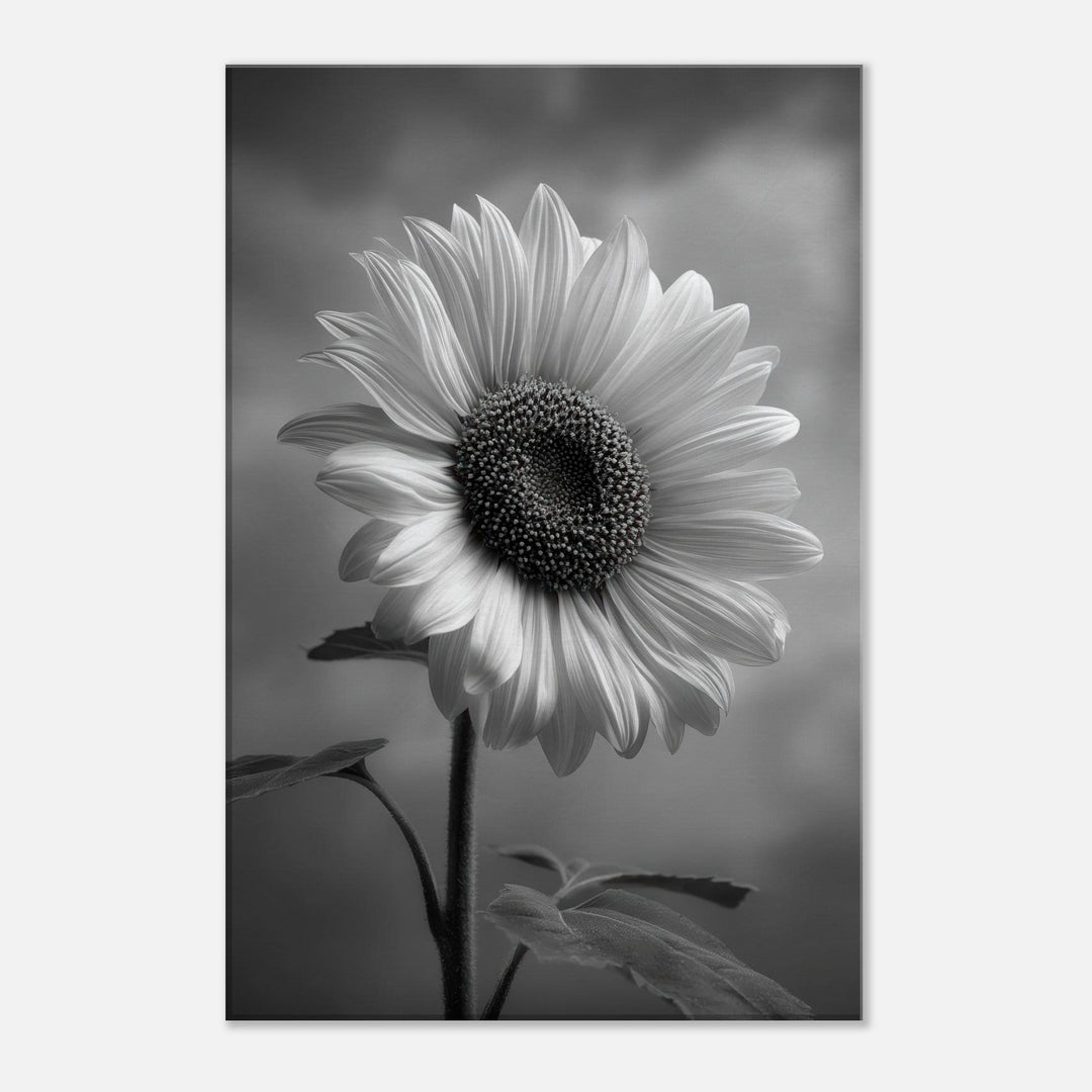 da4ff620-f1ab-4a77-adc1-a2650e14ed52