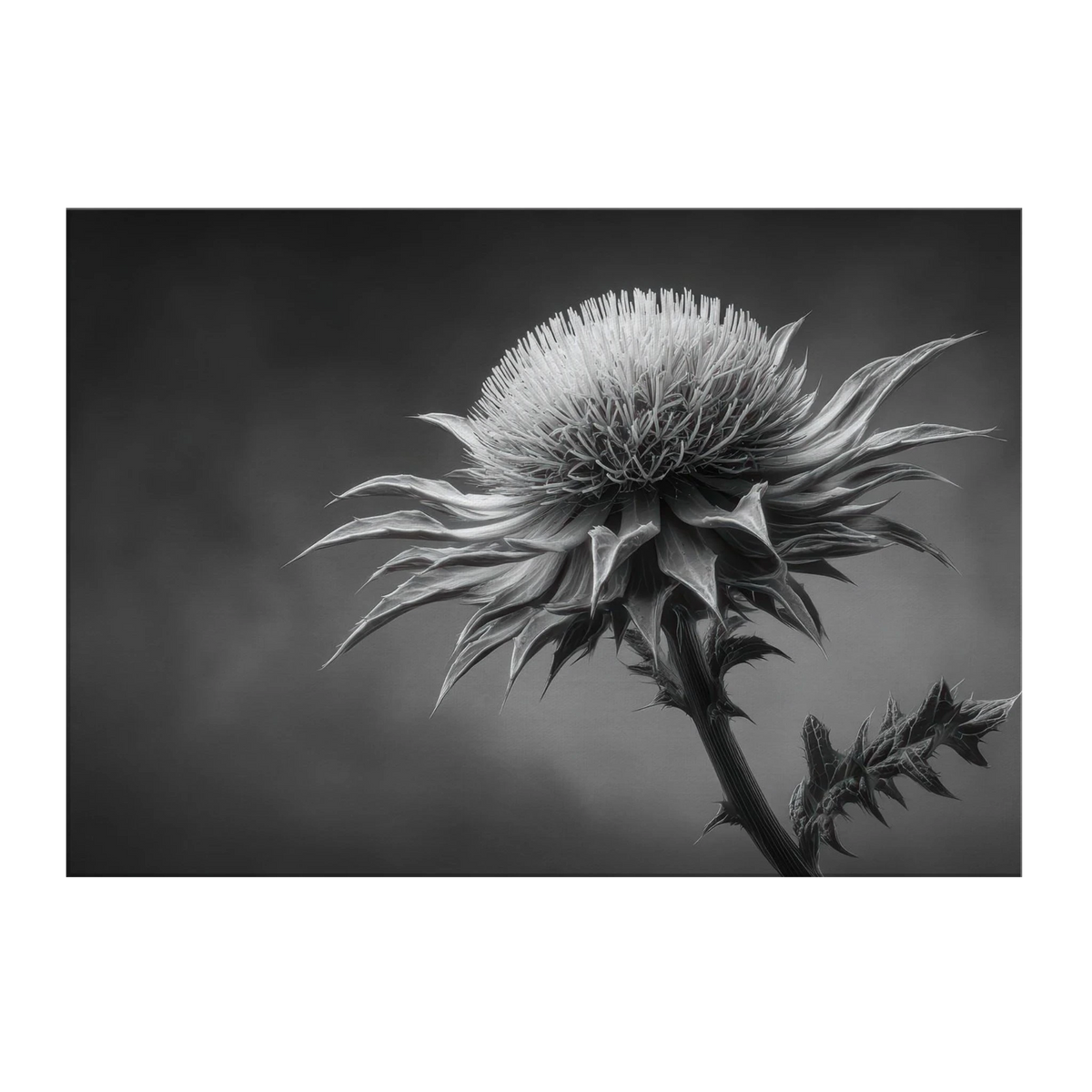 17cb0870-155e-4ef1-9f9d-577f58842738
