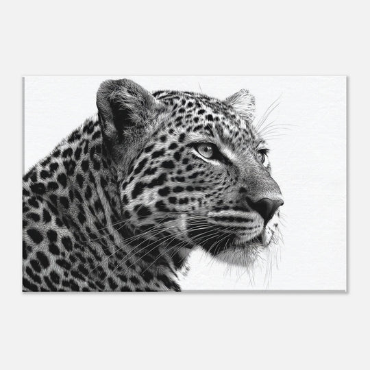 db279f1d-42da-48c9-b8fd-8d740c90efc3