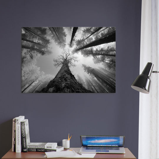 dbe941a7-488e-4150-bda5-703caae10727