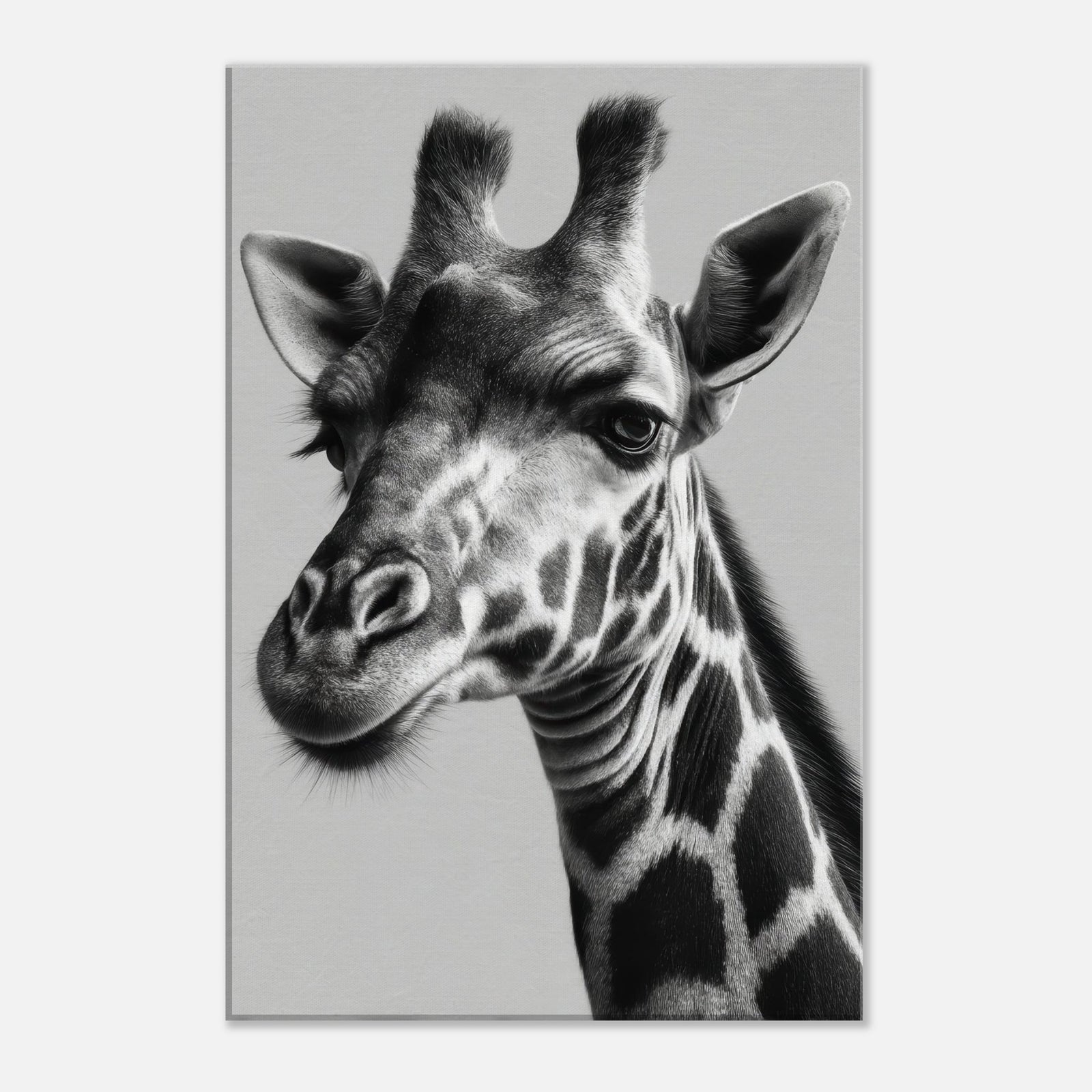 dbf2b8e8-041a-4fd2-abff-174b814f09fd