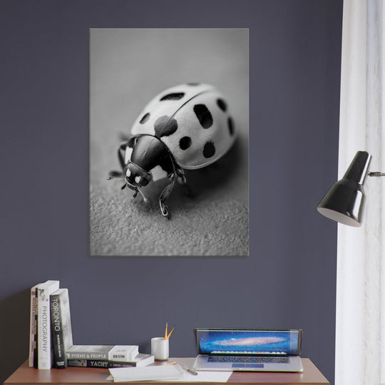 dce406d1-3702-4dc6-b1e4-344b2f611b4f