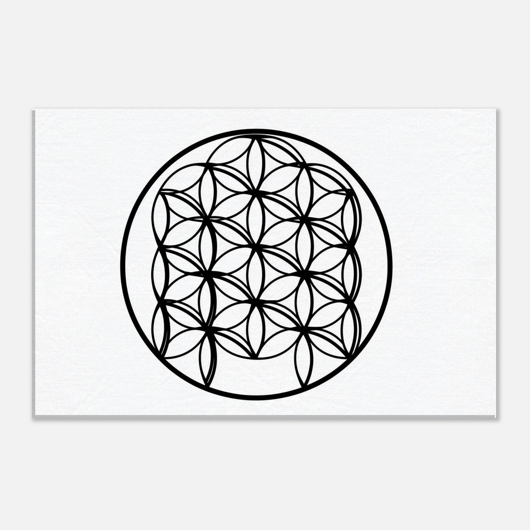 dd2d7c5e-9f48-4828-beb5-4b4e7174251f