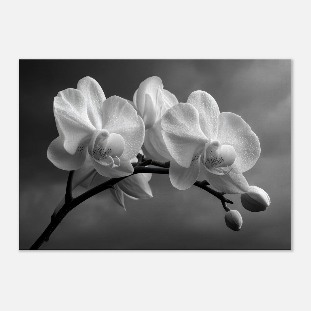 ddb15dd0-1190-4a16-97cc-66980b7f4e56