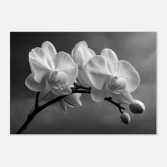 ddb15dd0-1190-4a16-97cc-66980b7f4e56