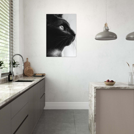 de2b6b1d-27f0-4122-bb8a-1ffc76fc0293