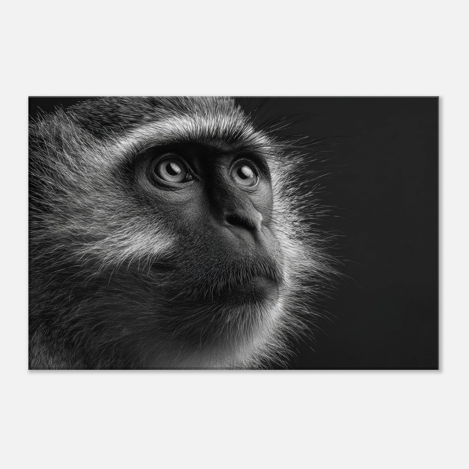 de8e7a0f-2389-4020-a7ad-c183c9314d20