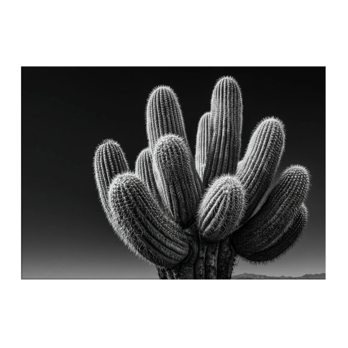 4e280792-7119-4923-a8ca-7760766deb6d