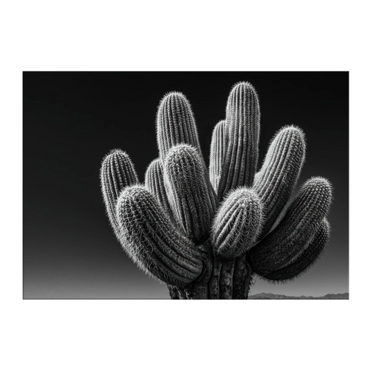 4e280792-7119-4923-a8ca-7760766deb6d