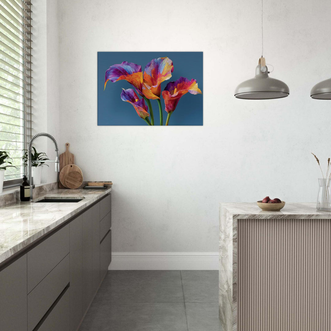 df1b907d-46a4-42ca-9aae-26ea31cc6bc8