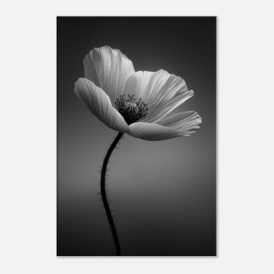 df251f89-5c80-4f64-a88e-9da7bffab34f