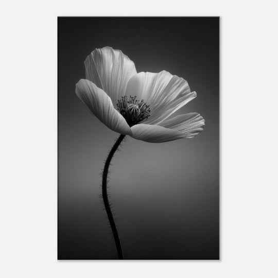 df251f89-5c80-4f64-a88e-9da7bffab34f