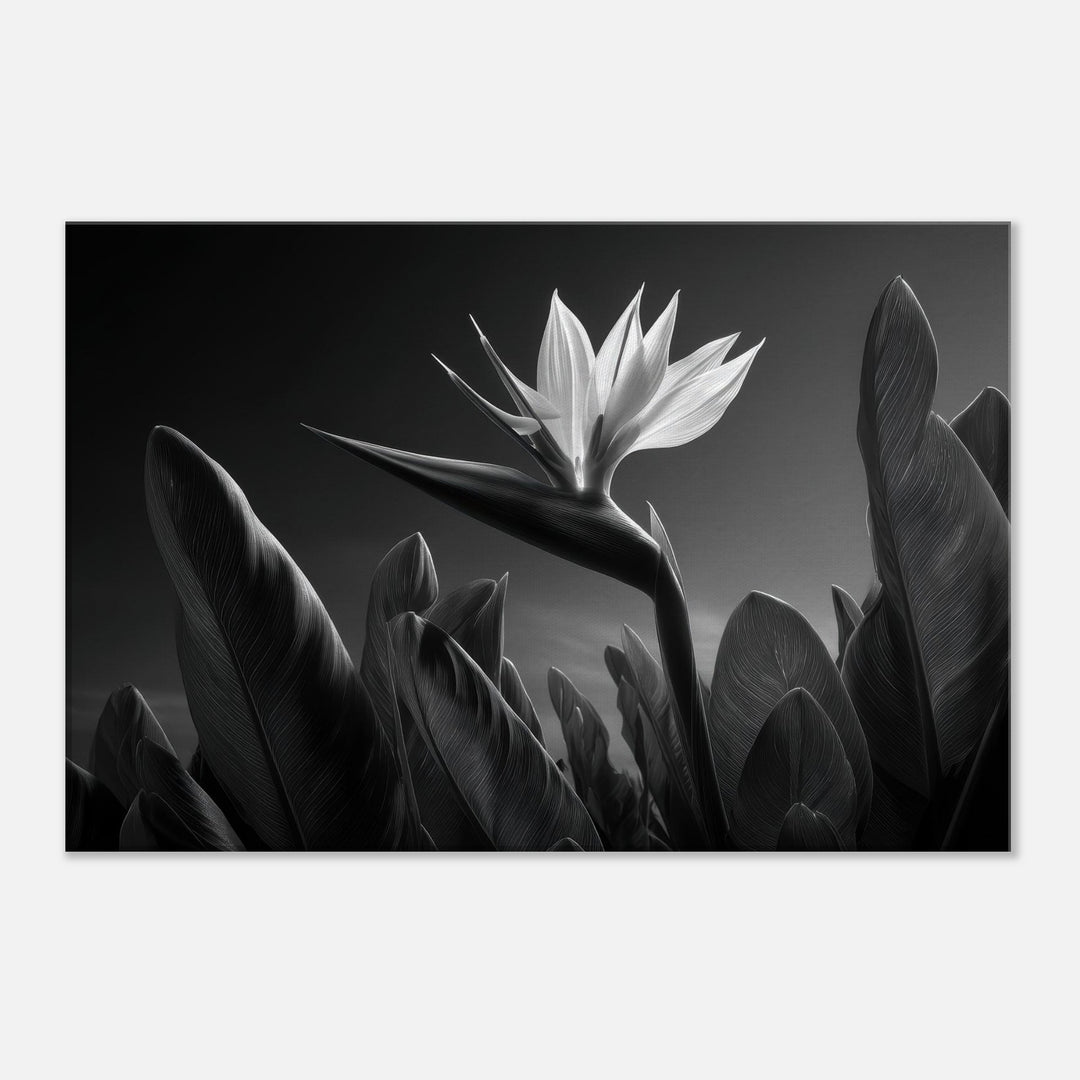 e0c5b985-ae83-41f9-b442-ce5a7e435ec1