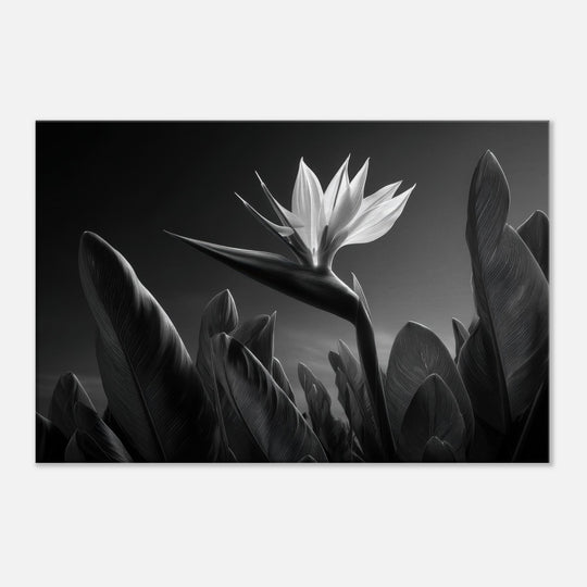 e0c5b985-ae83-41f9-b442-ce5a7e435ec1