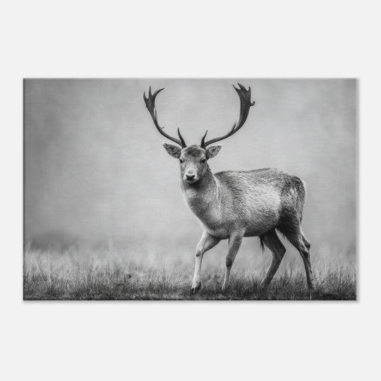 e0fe19ae-19c6-4633-ae63-a9b01fa2d216