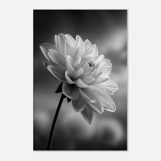 e203c74e-0edb-4485-8396-42bf28422c8e