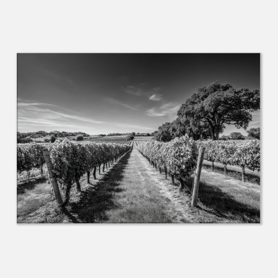 e2124224-5f2a-4753-b6cb-ff0ddc72f378