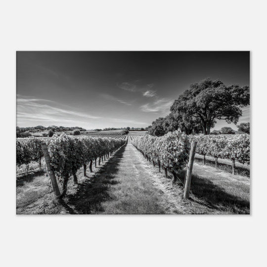 e2124224-5f2a-4753-b6cb-ff0ddc72f378