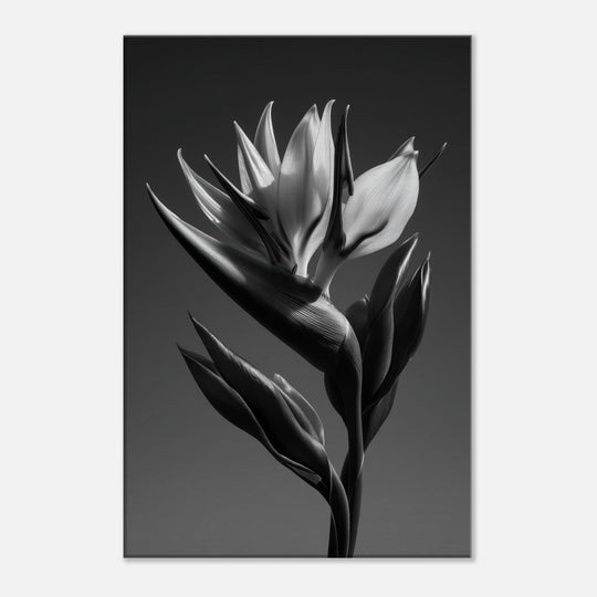 e23a9ef9-a75b-44a8-9b50-1a2595acee3b