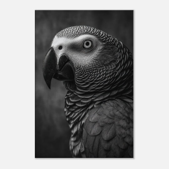 e2e77a78-e295-4399-b9be-92fccadd4b3d