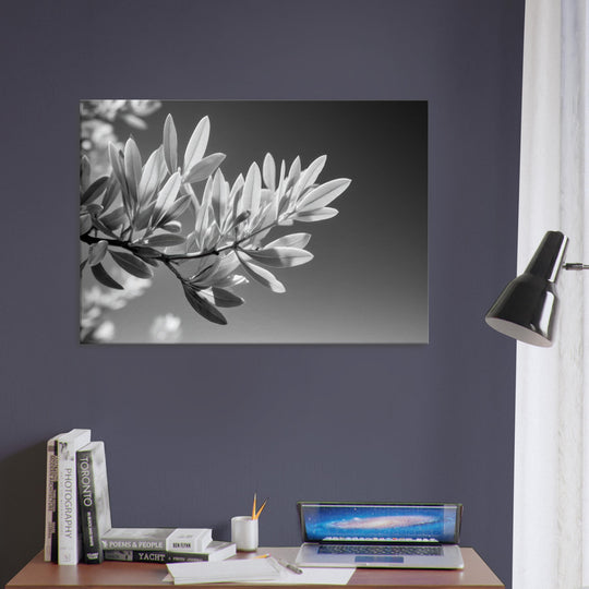 e32765a3-2a18-4e66-97de-51796508a92e