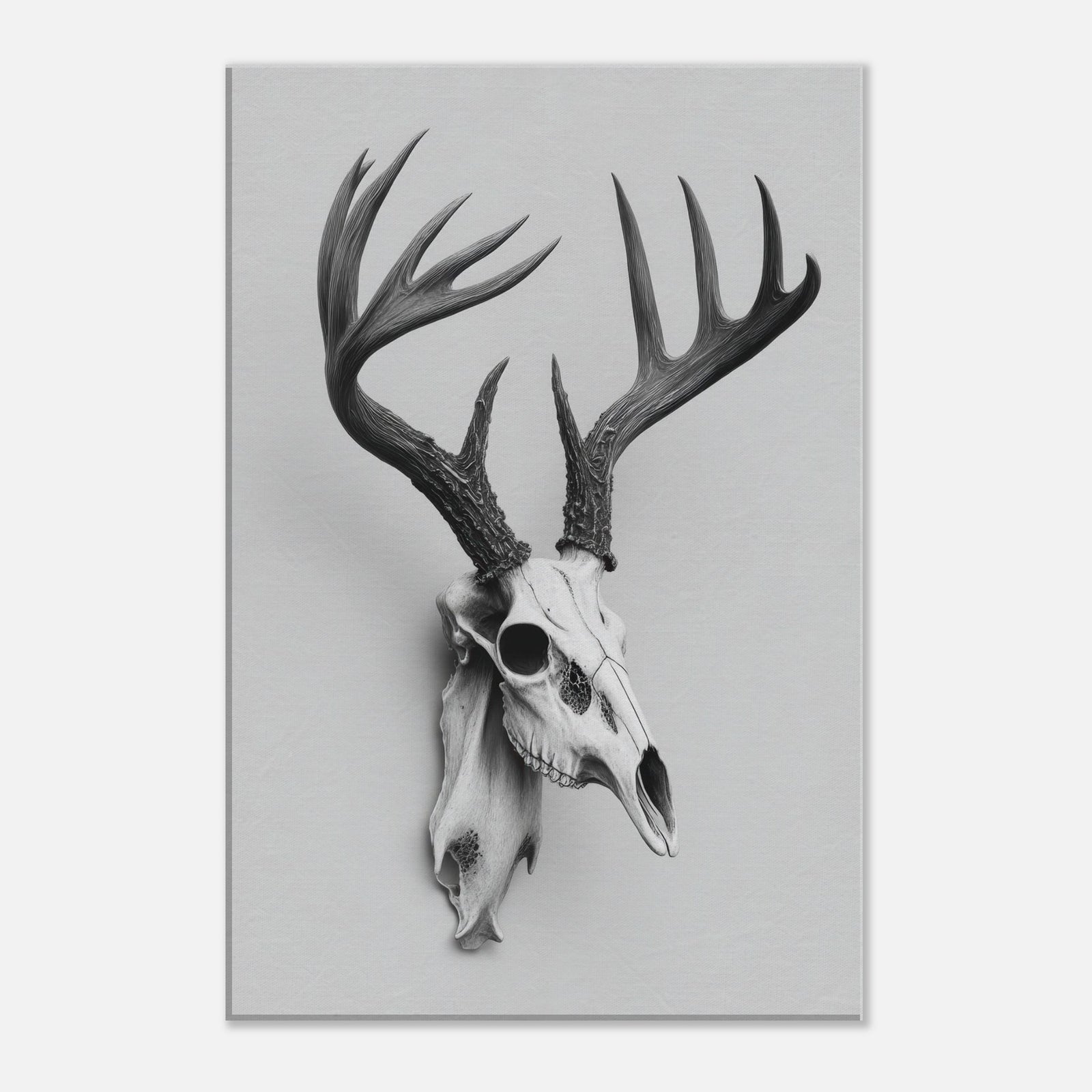 e342bb1e-ad7f-4cb0-8449-a76562256024