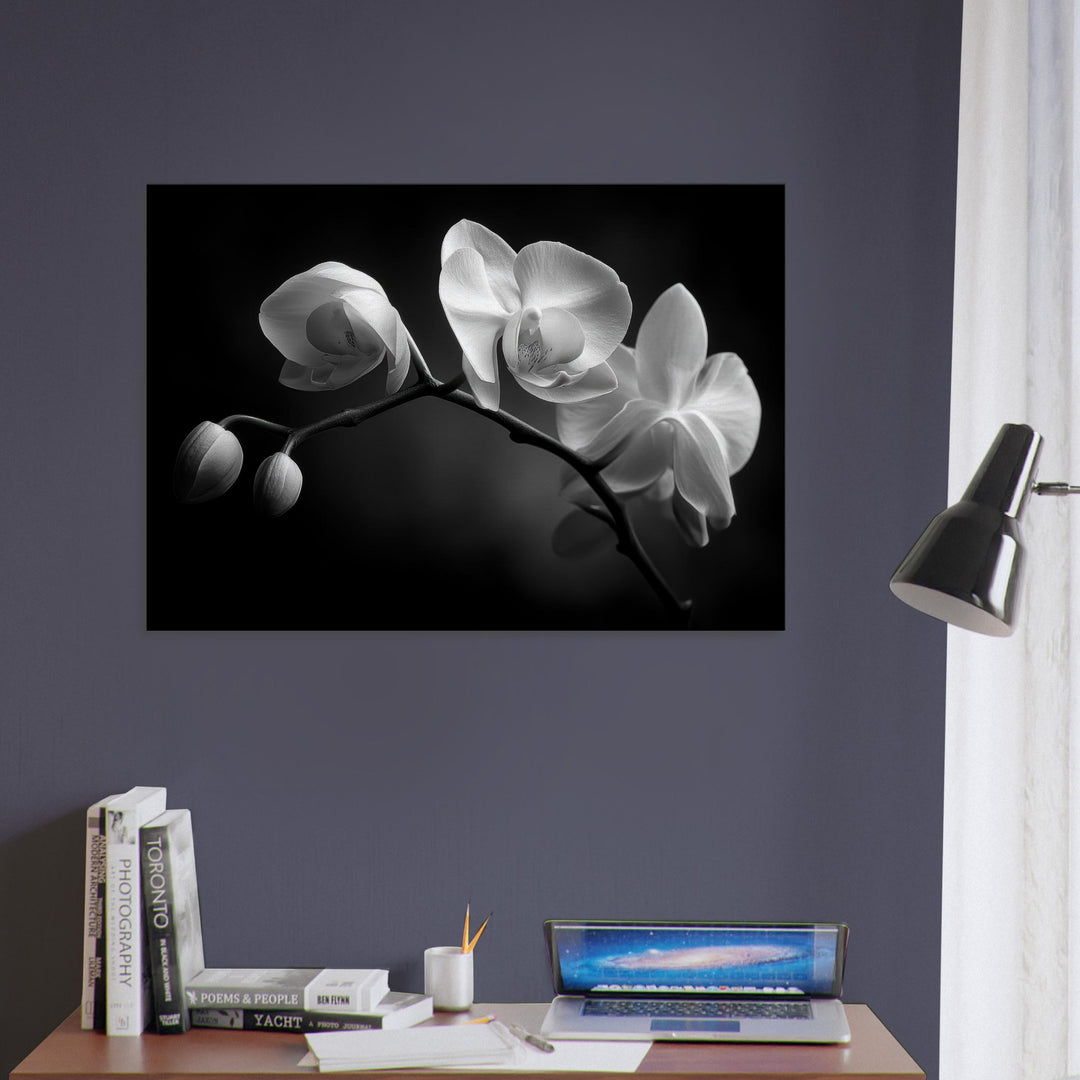 e3fb99d1-a9a0-426e-803f-f3cb437d4da0