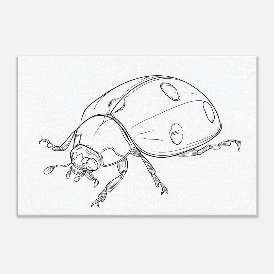 e4581ce7-b096-4d77-aa95-d26e00a42996