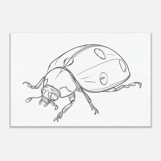 e4581ce7-b096-4d77-aa95-d26e00a42996